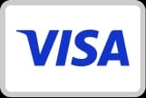 Visa card icon