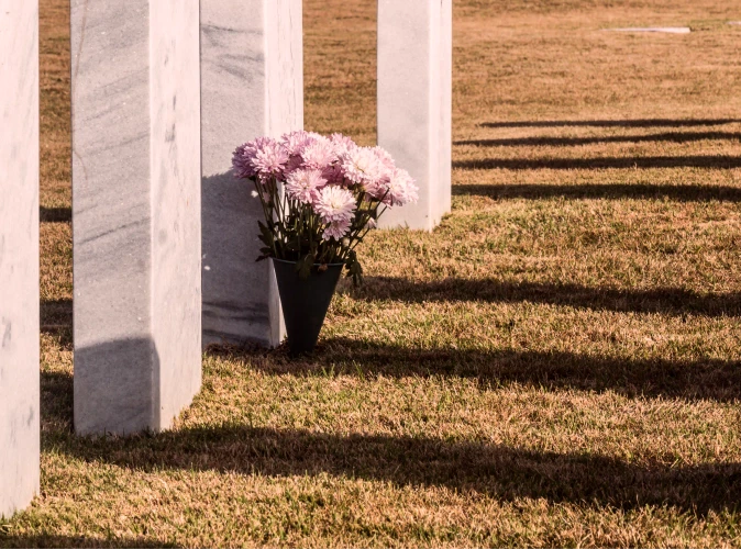 How Much Does a Burial Plot Cost?